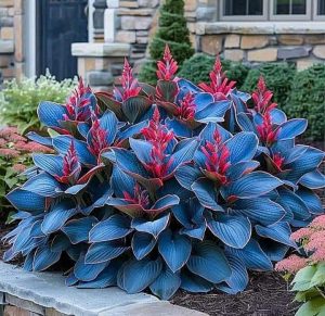 Хоста Грин Фог купить по цене от 669р. в интернет-магазине «Посадика» с доставкой почтой в в Красноперекопске и по всей России – [изображение №1].