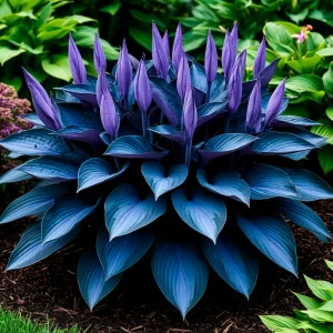 Хоста Сикрет Гров купить по цене от 570р. в интернет-магазине «Посадика» с доставкой почтой в в Красноперекопске и по всей России – [изображение №1].